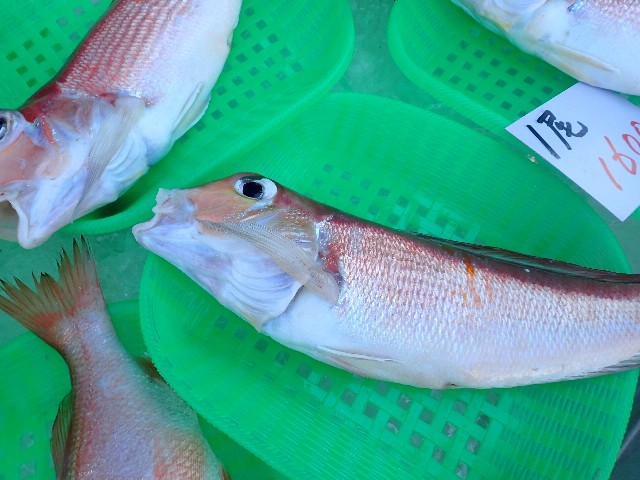 f0043911_02510539.jpg