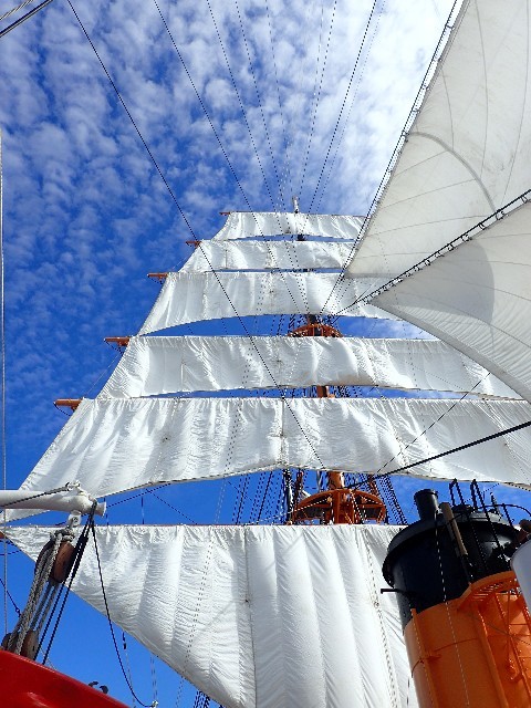 f0043911_02542946.jpg