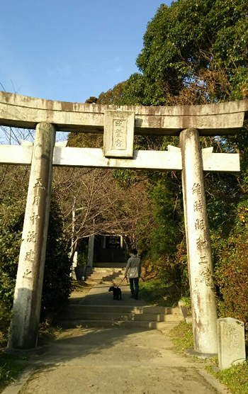 a0051618_17140406.jpg