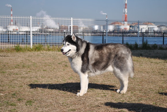 a0226620_23364789.jpg