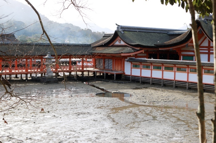 干潮の宮島 広島旅行 - 7 -_f0348831_09090851.jpg