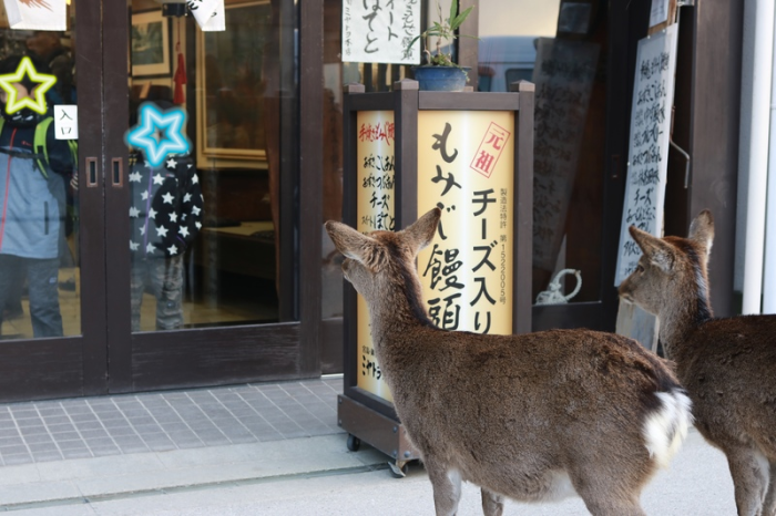干潮の大鳥居 広島旅行 - 9 -_f0348831_15413115.png