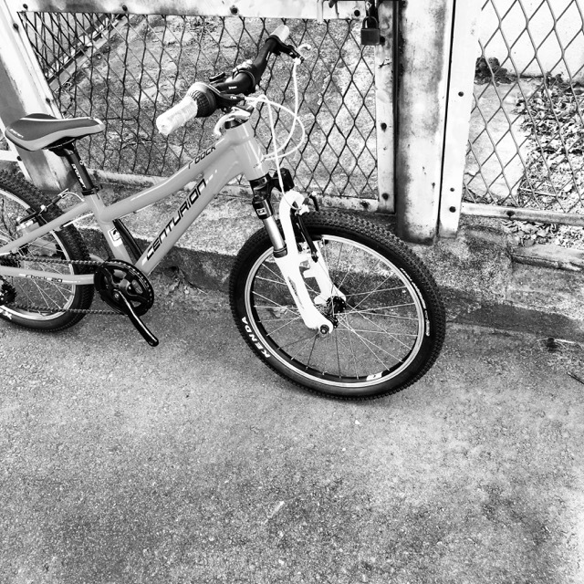2017 CENTURION センチュリオン R’BOCK 20 SHOX R’ボック 20 ショックス キッズバイク 子供自転車 リピトキッズ 20インチ KIDS おしゃれ子供車_b0212032_20492143.jpg