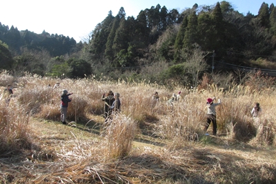 ススキでミニほうきを作ろう_a0123836_15543623.jpg