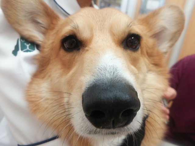 e0268036_1524229.jpg