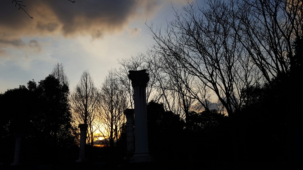 蜻蛉池公園の夕景_f0330437_23004074.jpg