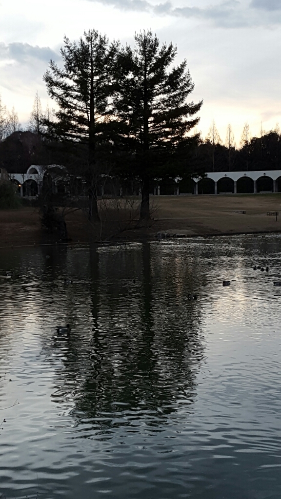 蜻蛉池公園の夕景_f0330437_23035069.jpg