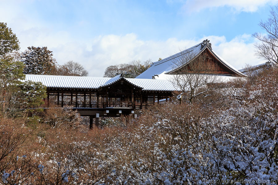 雪景色の東福寺_b0325840_20562335.jpg