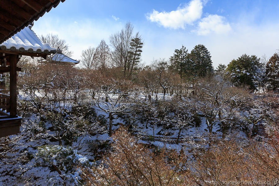 雪景色の東福寺_b0325840_20572337.jpg