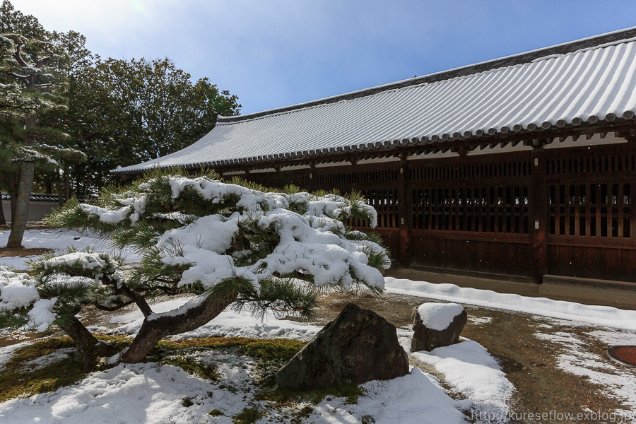 雪景色の東福寺_b0325840_20595542.jpg