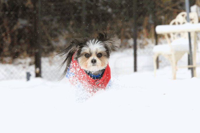 c0145250_16503871.gif