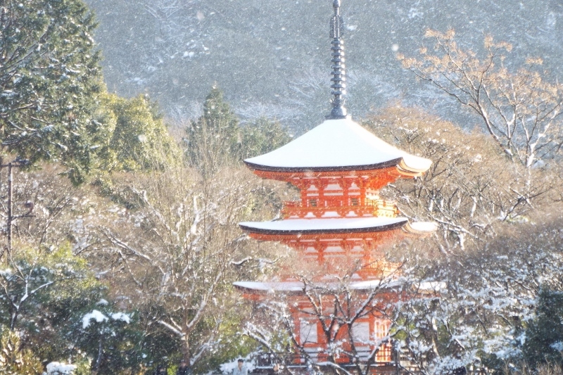 雪・京都清水寺_a0355356_16293158.jpg