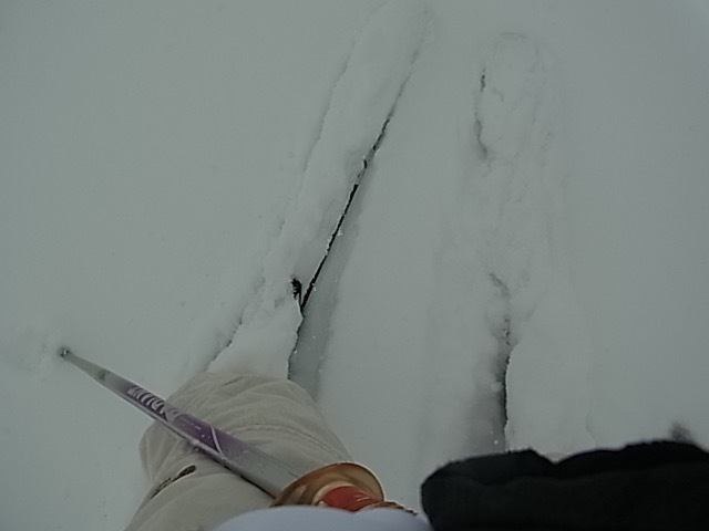 b0238760_01032056.jpg