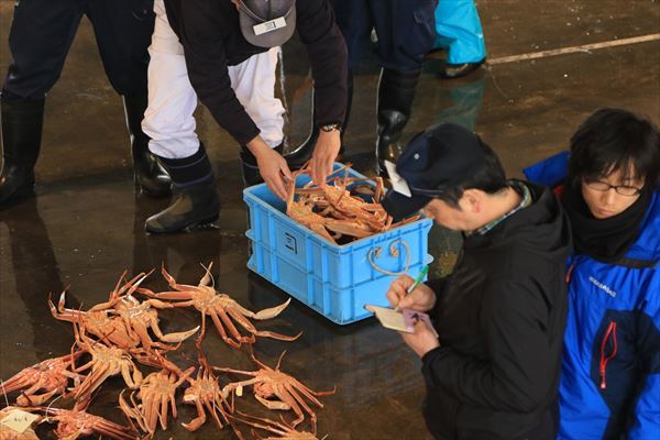 【2017年版】カニ・・・紅いよ、カニ　～富山県射水市新湊～_f0358360_16284219.jpg