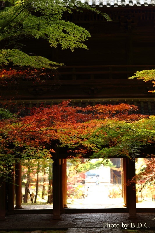 岡山　曹源寺_e0357265_18093669.jpg