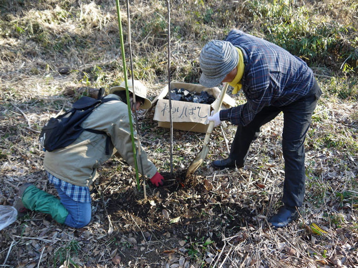 樹本数２８３本に：1・21六国見山森林公園定例手入れ_c0014967_121579.jpg