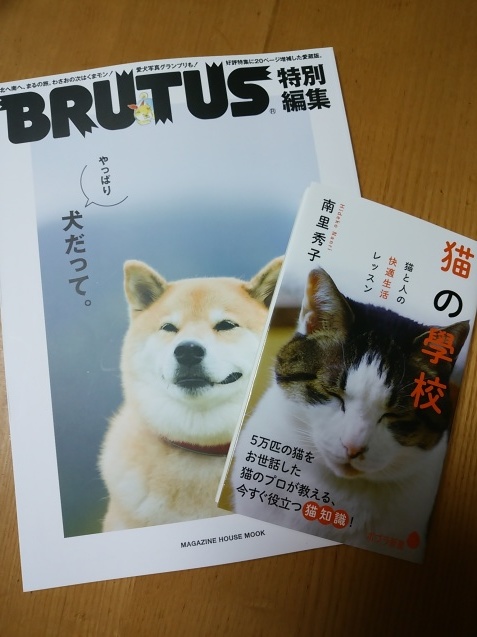 おすすめ_e0367571_17174903.jpg