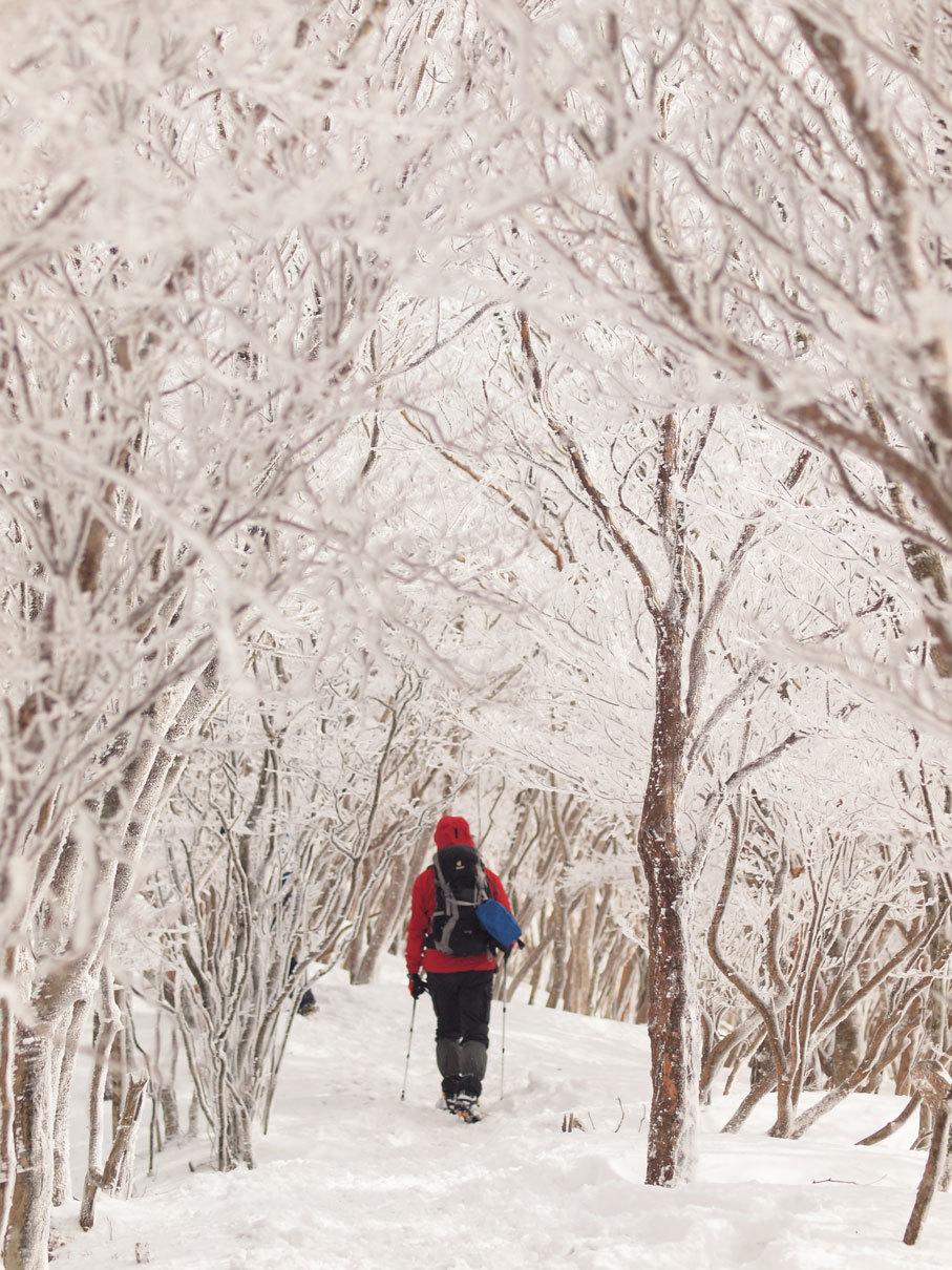 すごいぞ三峰山霧氷まつり①_c0301679_22451609.jpg