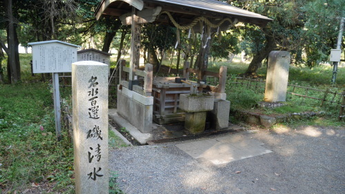 天橋立に湧く真水の泉_f0130879_20145963.jpg