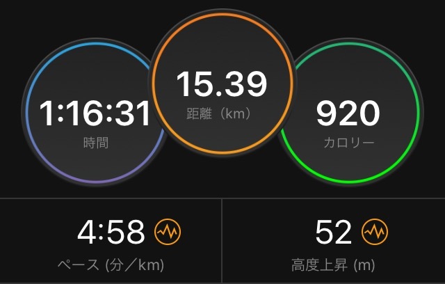 より速く走る練習?_f0310282_17440764.png
