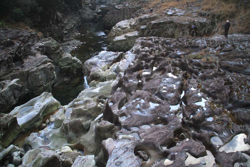 c0177785_5295438.jpg