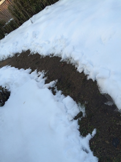 f0379286_20310665.jpeg