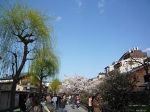 京都の桜咲きはじめました。_e0369389_17050719.jpg