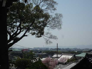 京都桜散歩_e0369389_17053590.jpg