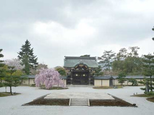 京都桜散歩２_e0369389_17053825.jpg