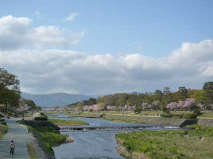 京都桜散歩２_e0369389_17053913.jpg