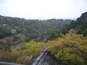 京都桜散歩２_e0369389_17053933.jpg