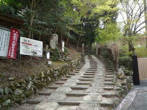 京都桜散歩2_e0369389_17053968.jpg