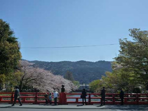 桜散歩３_e0369389_17054134.jpg