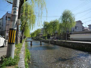 桜散歩3_e0369389_17054197.jpg