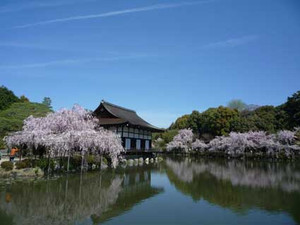 桜散歩3_e0369389_17054221.jpg