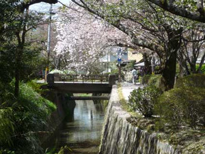 桜散歩3_e0369389_17054394.jpg
