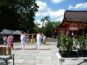 祇園祭～京都小泉さんの展示_e0369389_17061449.jpg