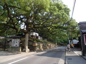 京都市美術館~光陽展搬入_e0369389_17063055.jpg