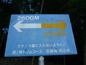 向日市探検2_e0369389_17063998.jpg