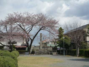 e0369389_17065701.jpg