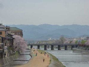 京都の花見３～先斗町の桜_e0369389_17070707.jpg