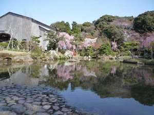 京都～桜散歩_e0369389_17080056.jpg
