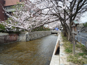 京都～桜散歩２_e0369389_17080598.jpg