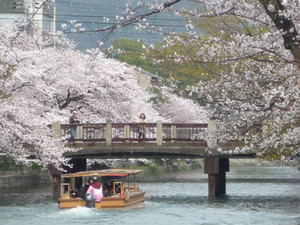 京都～桜散歩２_e0369389_17080620.jpg