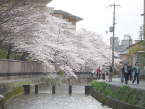 京都～桜散歩２_e0369389_17080765.jpg
