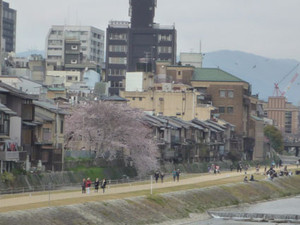 京都～桜散歩２_e0369389_17080844.jpg