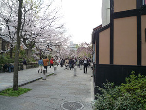 京都～桜散歩２_e0369389_17080889.jpg