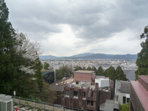 京都さくら散歩_e0369389_17092147.jpg