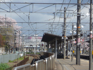 京都さくら散歩～洛西界隈_e0369389_17092582.jpg