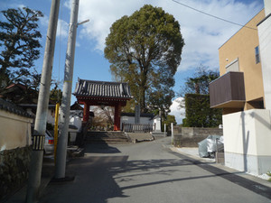 京都さくら散歩～洛西界隈_e0369389_17092777.jpg